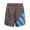 adidas Anthony Edwards Foundation Shorts