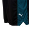 Puma Schussblocker Shorts