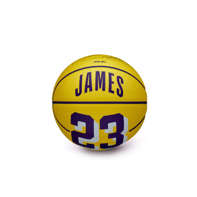 Ballon NBA Mini Basket Lebron James
