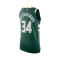 Camisola Nike Milwaukee Bucks Icon Edition Authentic Giannis Antetokounmpo