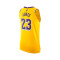 Camisola Nike Los Angeles Lakers Icon Edition Authentic Lebron James