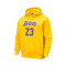 Felpa Nike Los Angeles Lakers Icon Edition LeBron James