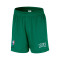 Nike Boston Celtics Openhole Mesh Shorts