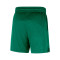 Short Nike Boston Celtics Openhole Mesh