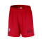 Short Nike Chicago Bulls Openhole Mesh