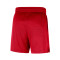 Short Nike Chicago Bulls Openhole Mesh