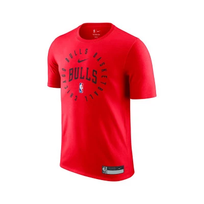 Camiseta Chicago Bulls Dri-Fit Practice