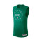 Nike Boston Celtics Kurzarm-Trainingstrikot Trikot