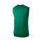 Nike Sleeveless Boston Celtics Practice Jersey