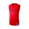 Maillot Nike Chicago Bulls Practice Sin Mangas