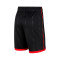 Jordan Offizielle Ausgabe der Toronto Raptors Shorts