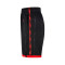 Jordan Offizielle Ausgabe der Toronto Raptors Shorts