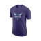 Jordan Charlotte Hornets Essential Logo Jersey