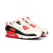 Baskets Nike Femme Air Max 90