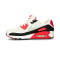 Baskets Nike Femme Air Max 90