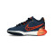 Nike Lebron 21 SE Niño Basketball Shoes