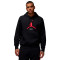 Sudadera Jordan Essentials Fleece Baseline