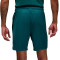 Jordan Sport-Mesh Shorts