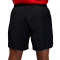 Jordan Sport Woven Shorts