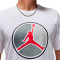 Jordan Jumpman Crew Jersey