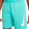 Nike Kids Multi  Shorts