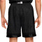 Nike Dri-Fit DNA 8" Naos Shorts