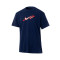 Camiseta Nike Lebron James Max90