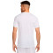 Camiseta Nike Dri-Fit Relegade Verb