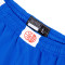 Jordan Kids France Limited Road 2024 Shorts