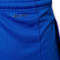 Jordan Kids France Limited Road 2024 Shorts