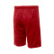 Nike Kids Spain Road 2024 Shorts