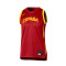 Camiseta Nike Selección de España Limited Road 2024 Niño