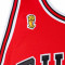 Jersey MITCHELL&NESS NBA Authentic Road Finals Jersey Chicago Bulls - Michael Jordan 1995-96