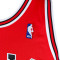 Maillot MITCHELL&NESS NBA Authentic Road Finals Jersey Chicago Bulls - Michael Jordan 1995-96