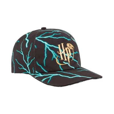 Womens Harry Potter x Stewie Cap