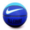 Ballon Nike Everyday All Court