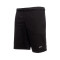 Meteora Short Essential brush Shorts