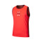 Under Armour Hoops Performance Trikot