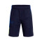 Short Under Armour Baseline Niño