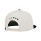 Chapéu Under Armour Curry Flatbrim Snapback