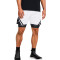 Under Armour Curry Mesh Shorts