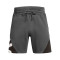 Under Armour Curry Splash Fleece Shorts