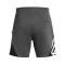 Under Armour Curry Splash Fleece Shorts