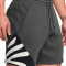 Under Armour Curry Splash Fleece Shorts