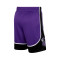 Nike Sacramento Kings Swingman Hardwood Classics 2024-2025 Shorts