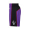 Nike Toronto Raptors Swingman Hardwood Classics Shorts