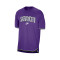 Nike Sacramento Kings Pregame Essential Hardwood Classics Trikot