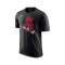 Camiseta Nike Toronto Raptors Essential Logo City Edition 2024-2025