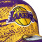 Casquette New Era Los Angeles Lakers NBA Tip Off 39Thirty