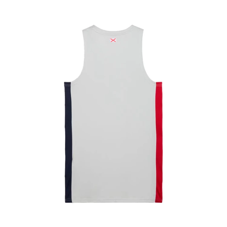 camiseta-puma-baskonia-segunda-equipacion-2024-2025-cool-light-gray-1